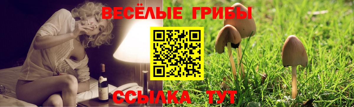 Псилоцибиновые грибы Cubensis  купить наркоту  Рассказово  Вход с VPN 